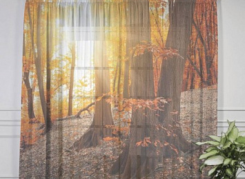 3D Тюль на окна "Осенний лес"