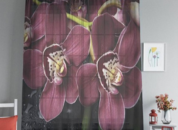 3D Тюль на окна "Орхидеи и капли воды"