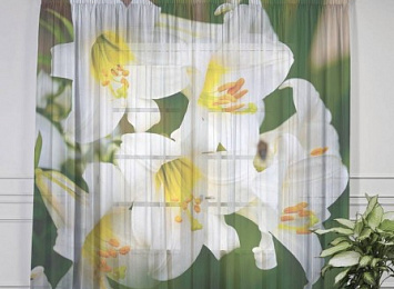 Оконный 3D тюль "Белые лилии"