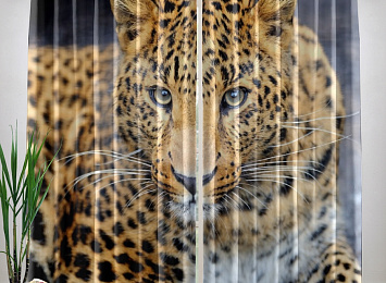 Фотошторы «Красивый леопард»
