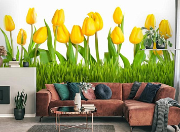 3D Фотообои «Желтые тюльпаны» — стиль и качество для вашего интерьера
