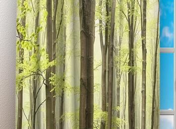 Фотошторы «Зеленый лес»