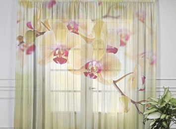 3D Тюль на окна "Желтая орхидея"