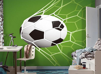 3D Фотообои «Мяч в сетке»