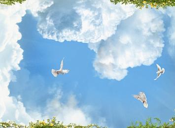 3D Фотообои «Голуби в облаках»