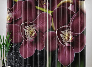Фотошторы «Орхидеи и капли воды»