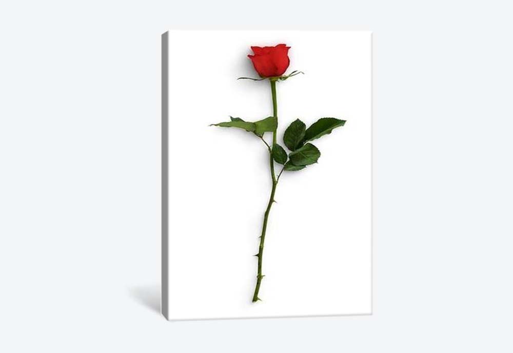 картинка 5D картина «Красные розы. Арт 3» | интернет-магазин фотообоев ARTDECO