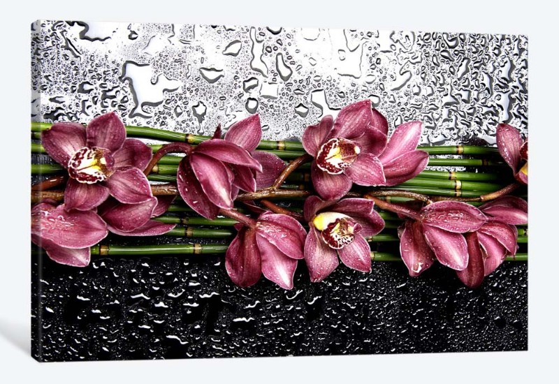 картинка 5D картина  «Орхидеи с каплями» | интернет-магазин фотообоев ARTDECO