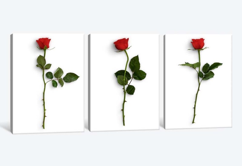 картинка 5D картина «Красные розы» | интернет-магазин фотообоев ARTDECO