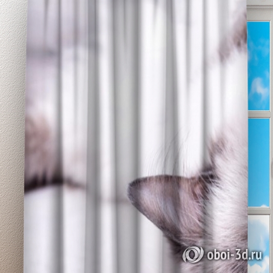 картинка Фотошторы «Голубоглазая кошка» | интернет-магазин фотообоев ARTDECO