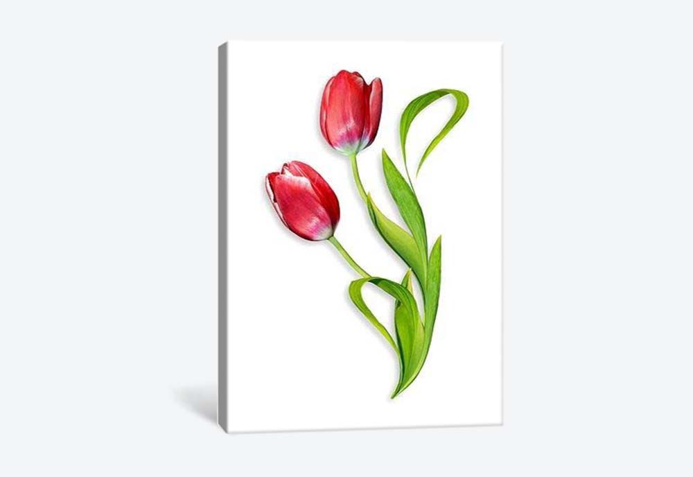 картинка 5D картина «Объемные тюльпаны. Арт 1» | интернет-магазин фотообоев ARTDECO