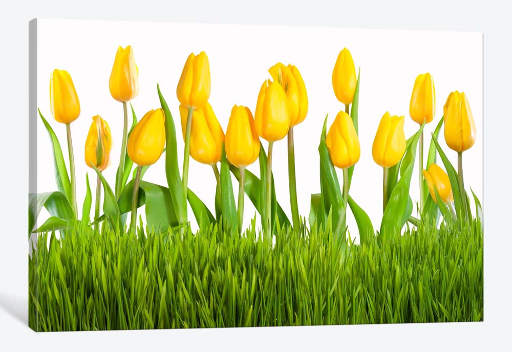 картинка 5D картина «Желтые тюльпаны» | интернет-магазин фотообоев ARTDECO