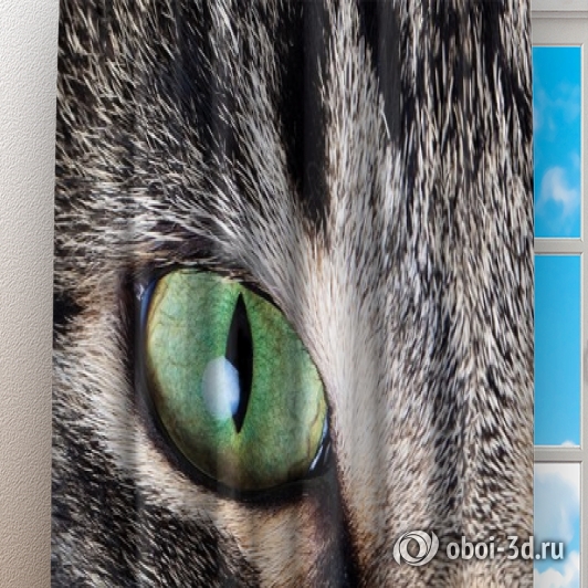 картинка Фотошторы «Кошачий взгляд» | интернет-магазин фотообоев ARTDECO